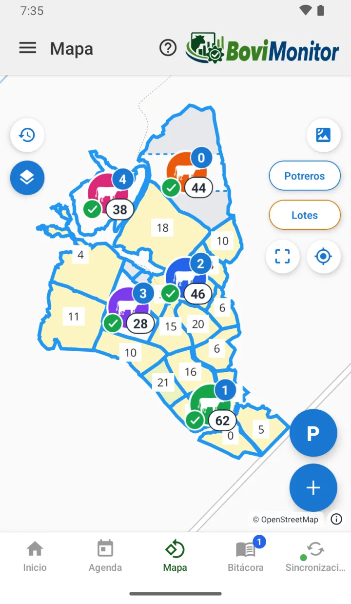 El mapa de la finca en la app: los potreros, el lote que ocupa cada uno y sus días de ocupación y de descanso, con un potrero dividido en franjas