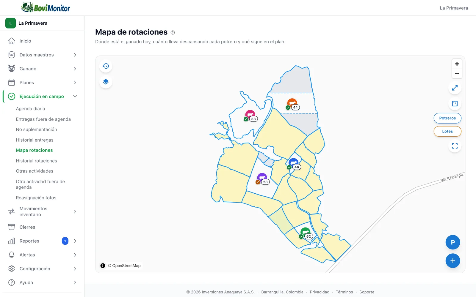 El mapa de rotaciones en la web: los potreros de la finca con sus días de descanso, los lotes con sus días de ocupación y un potrero en franjas